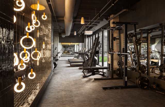 01 — LEVEL UP Advanced Strength Training